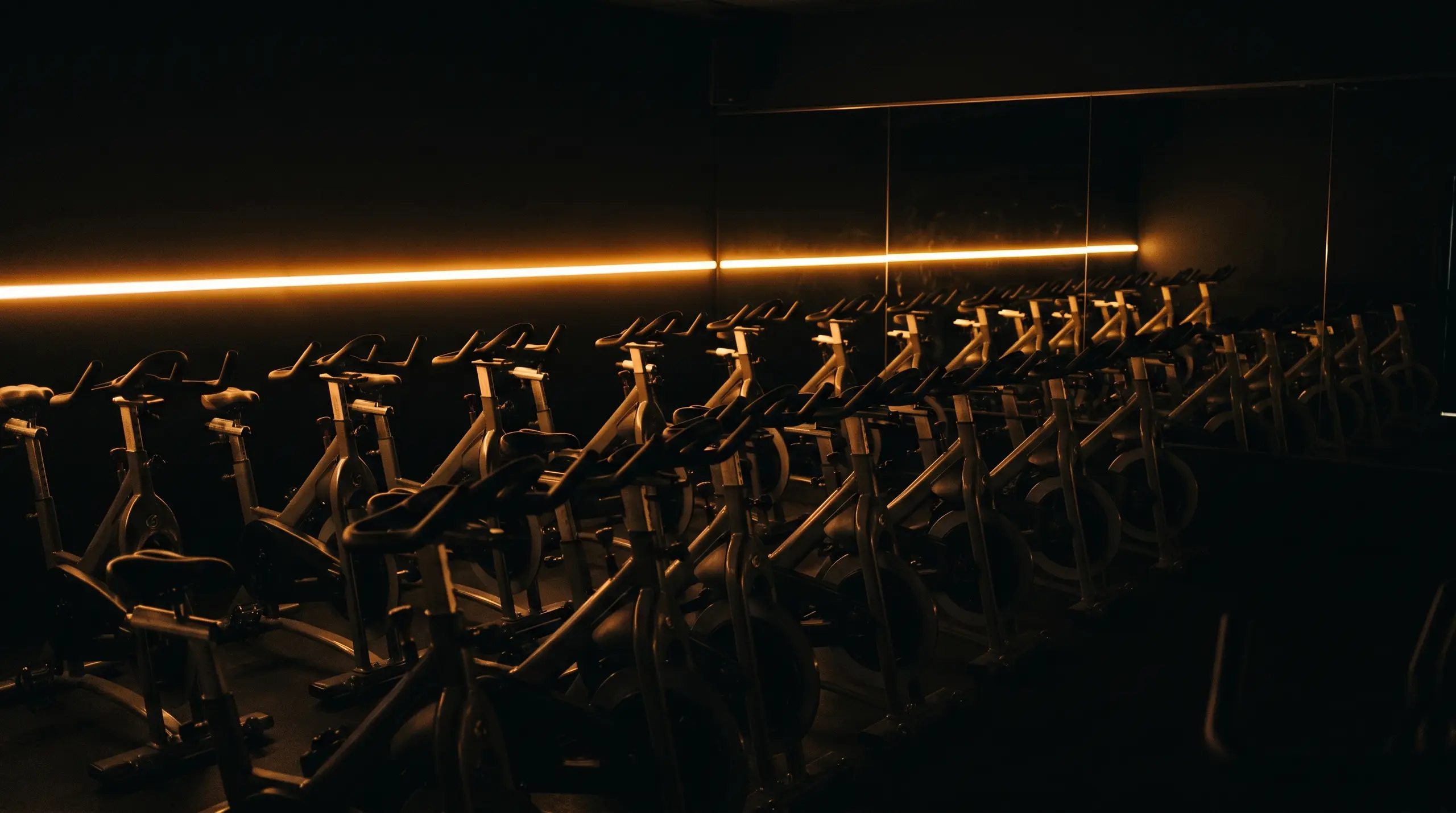 An empty cycling studio, bikes in rows